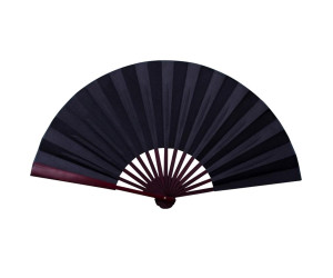 Pahljača za na oder, žur ali vroče poletne dni (25.4 x 33.02 cm)